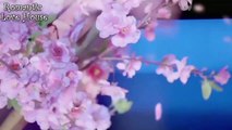 MV【Love TV 】-2018 Năm ánh sáng 1 吻戏 Kiss  床戏поцелу 키스 จูบ  キス Baiser