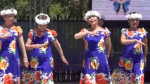 Matsuri Festival 2018, 3-14  ,  JCS Hula Aloha, Mosaic Japanese Folk Dance,  Darling Harbour, Sydney 8 Dec 18