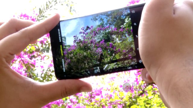 Os melhores smartphones multimídia para ficar de olho no Natal