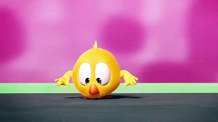 Where is Chicky ? Cartoon For Kids - Funny Chicky 2019