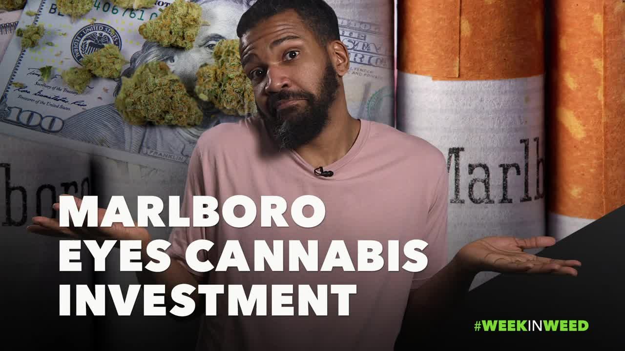 This Week in Weed: Marlboro Ready to Buy Marijuana?!