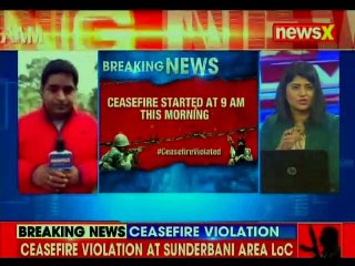 Soldier, BSF Jawan Killed In Ceasefire Violation By Pakistan In J&K