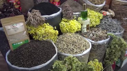 Kış Hastalıklarına Bitkisel Çözüm