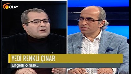 Yedi Renkli Çınar - 07-12-2018
