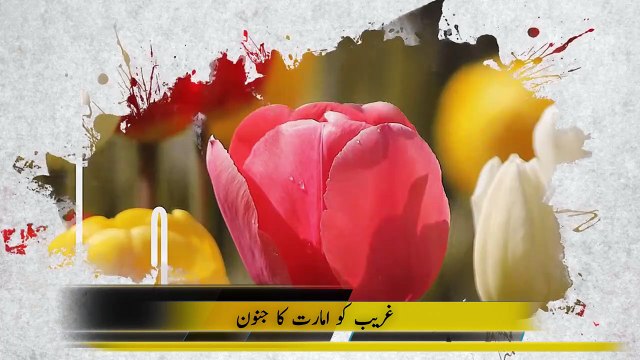 Unstoppable Struggle of Life | Stop and Think | Aamer Habib Report 121 | Public TV Media