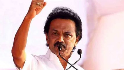 திமுக தலைவராக 100 நாட்களை கடந்த ஸ்டாலின்- வீடியோ