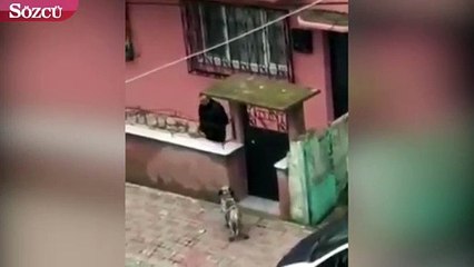 Şiddete uğrayan köpeği vatandaşlar kurtardı