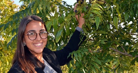 Sadece 14 İlde Üretimi Yapılabilen Pikan Cevizinin Kilosu 130 Liradan Satılıyor