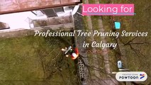 Professional Tree Pruning Services in Calgary