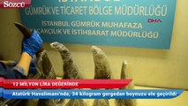 Atatürk Havalimanı’nda 12 milyon lira değerinde gergedan boynuzu ele geçirildi
