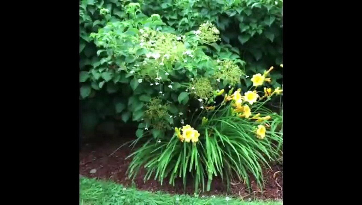 Pikachu With His Love POKEMON Slime Video Relax...