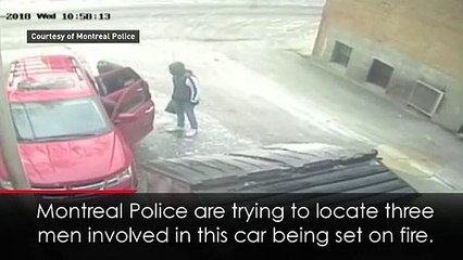 Arsonist blown backwards after setting car alight