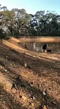 Cet homme est venu embêter un kangourou et il va vite le regretter !