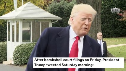 Descargar video: Trump Reacts To Cohen, Manafort Court Filings With All-Caps Tweet: 'NO COLLUSION!'