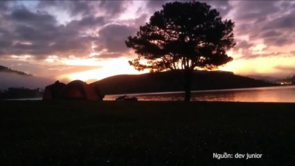 VMS danh sách cây cô đơn