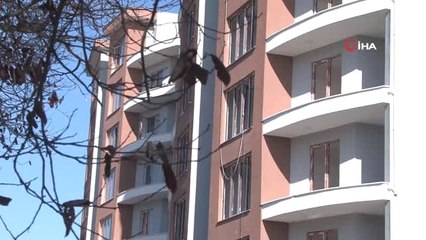 Müteahhit Bitirmedi, Kentsel Dönüşümde Sokakta Kaldılar