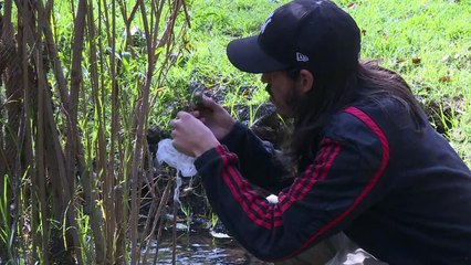 México, pionero en Latinoamérica en la conservación de colibríes