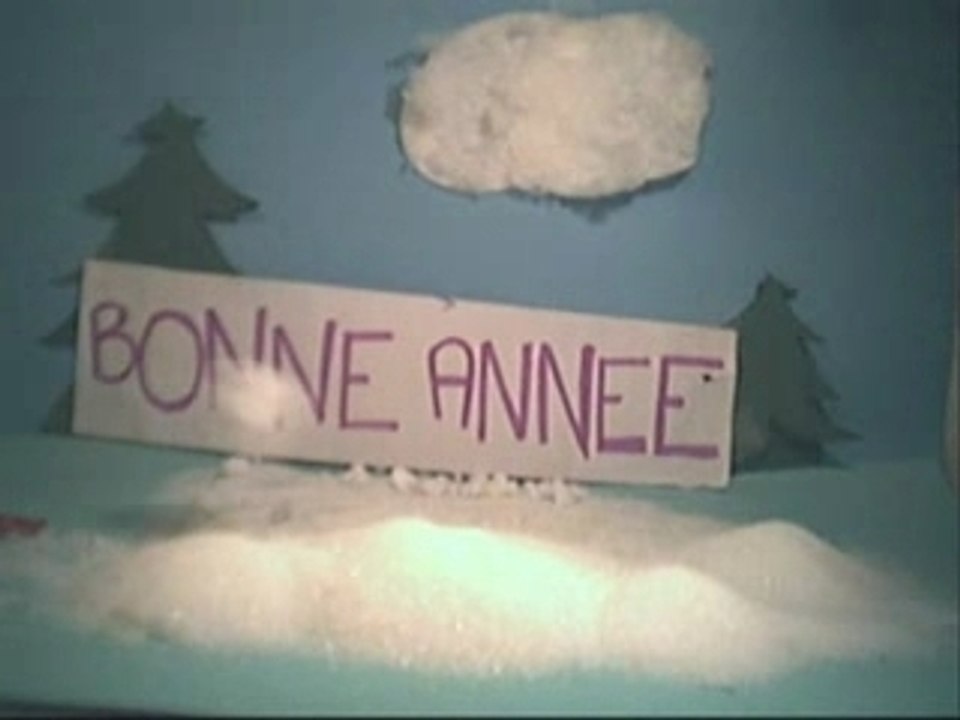 Bonne année 2008