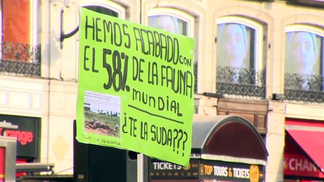 Más de 500 activistas se concentran para protestar contra el maltrato animal