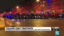 Online reactions to Yellow Vest protests