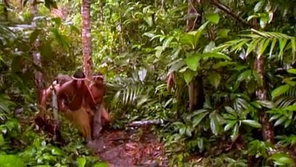 Wildboyz S02 E02
