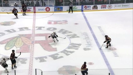 Chicago Wolves (4) VS. Rockford IceHogs (0)