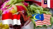 Giliran Cendol jadi rebutan netizen Indonesia dan Malaysia - TomoNews