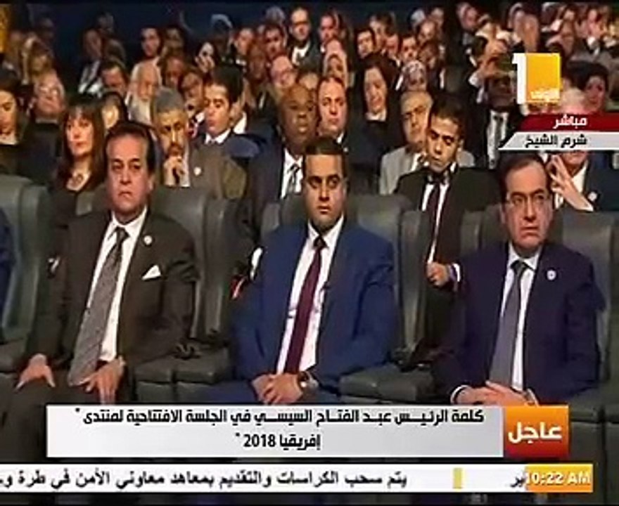 السيسي: نسعى للعمل الجماعى لتحقيق التنمية المستدامة للقارة