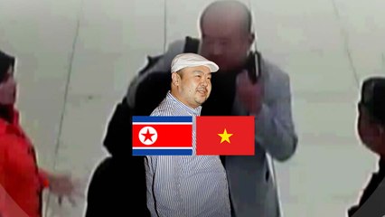 김정남 암살 관련 없다던 北, 왜 사과했나 / YTN