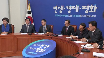 민주당 "내년 1월 선거제 개혁 합의해 2월 처리 추진" / YTN