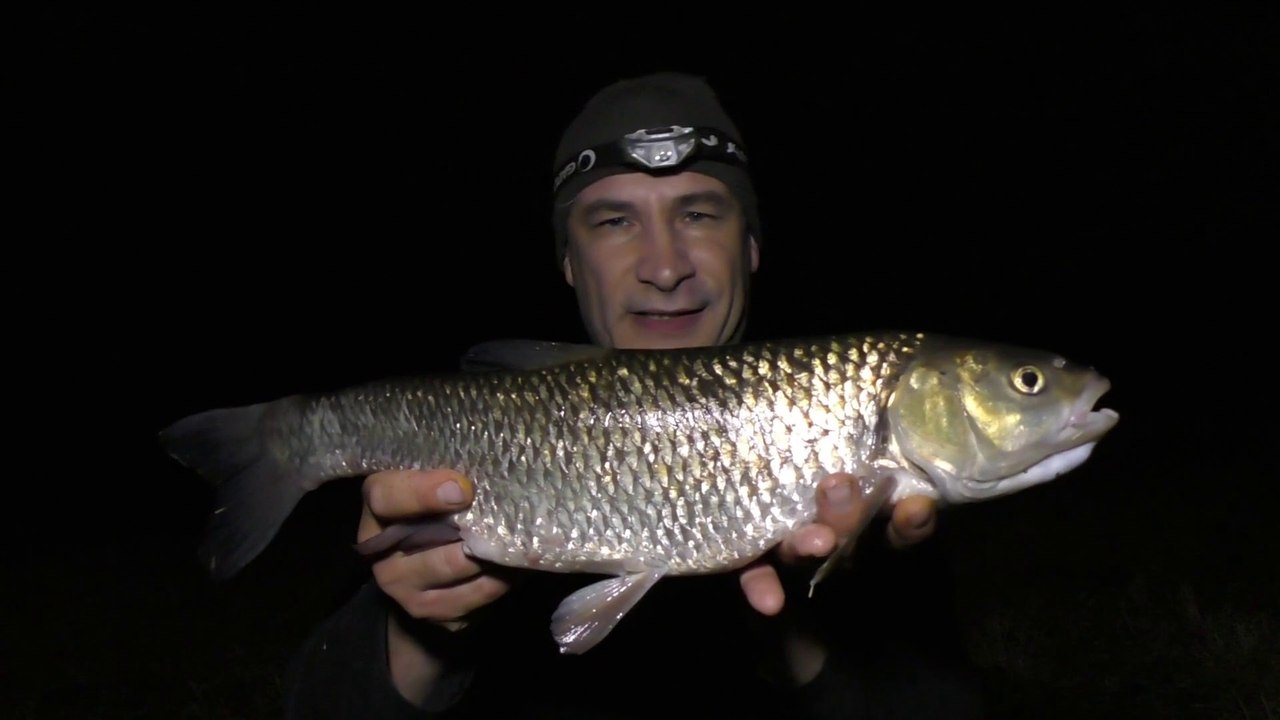 Chub Fishing Below The Weir - Warwickshire Avon - 6/7/18 (Video 77)