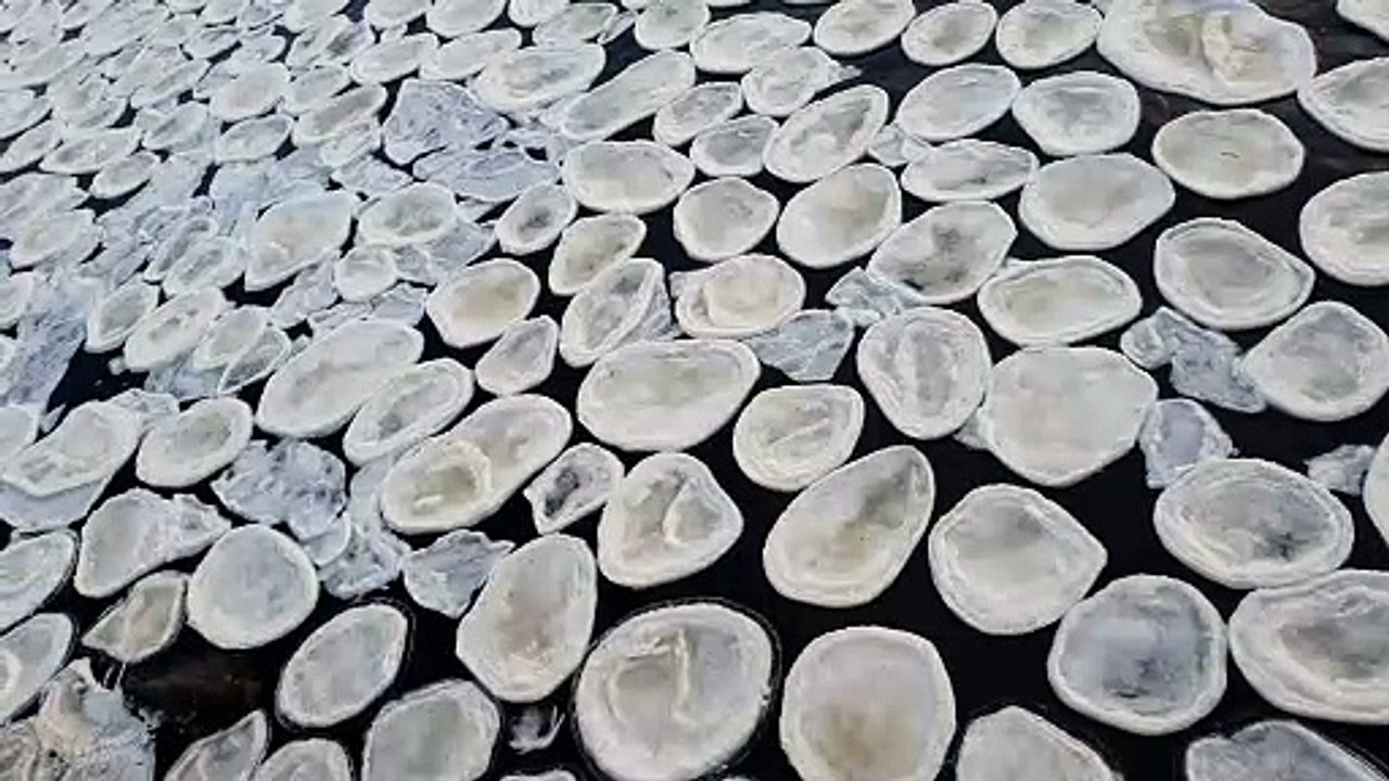 Unusual Ice Forms Pancakes on River