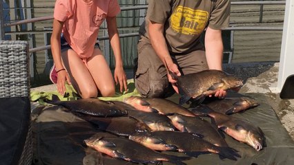 Bream Fishing In A Marina On The Great Ouse - 13/7/18 (Video 78)