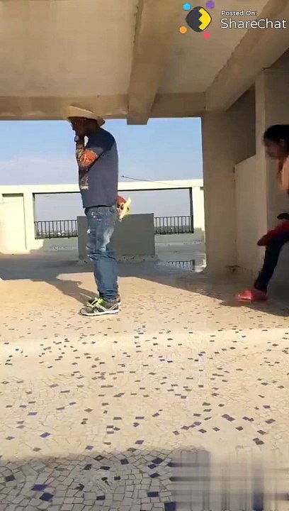 Funny video clips 2018