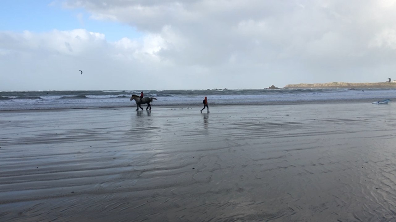 Vingt cinq véliplanchistes motivés dans les vagues du Sillon