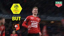 But Benjamin BOURIGEAUD (69ème) / Stade Rennais FC - Dijon FCO - (2-0) - (SRFC-DFCO) / 2018-19