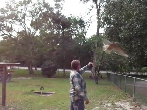 Cet homme décapsule sa bière en utilisant son aigle... La classe!