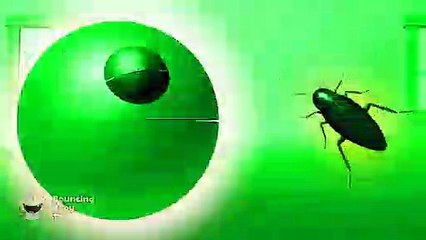 Learn colors with Pacman as he finds toys and travels down a magic slide.