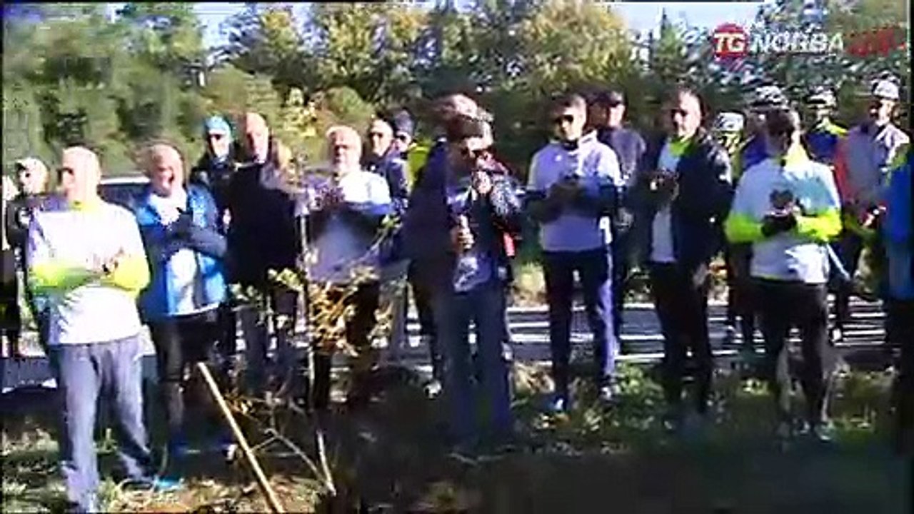 Gravina, si continua a lottare per il bosco