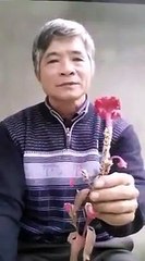 Bài Thuốc chữa rắn Cắn