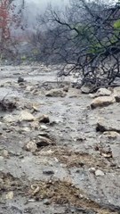 Flash Flooding in Fire Ravaged California