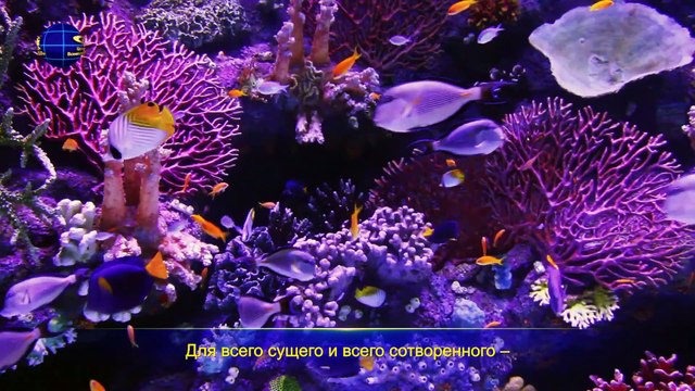 Восточная Молния | Лучшие Христианские песни «Личность и положение Самого Бога» Наш Бог так велик