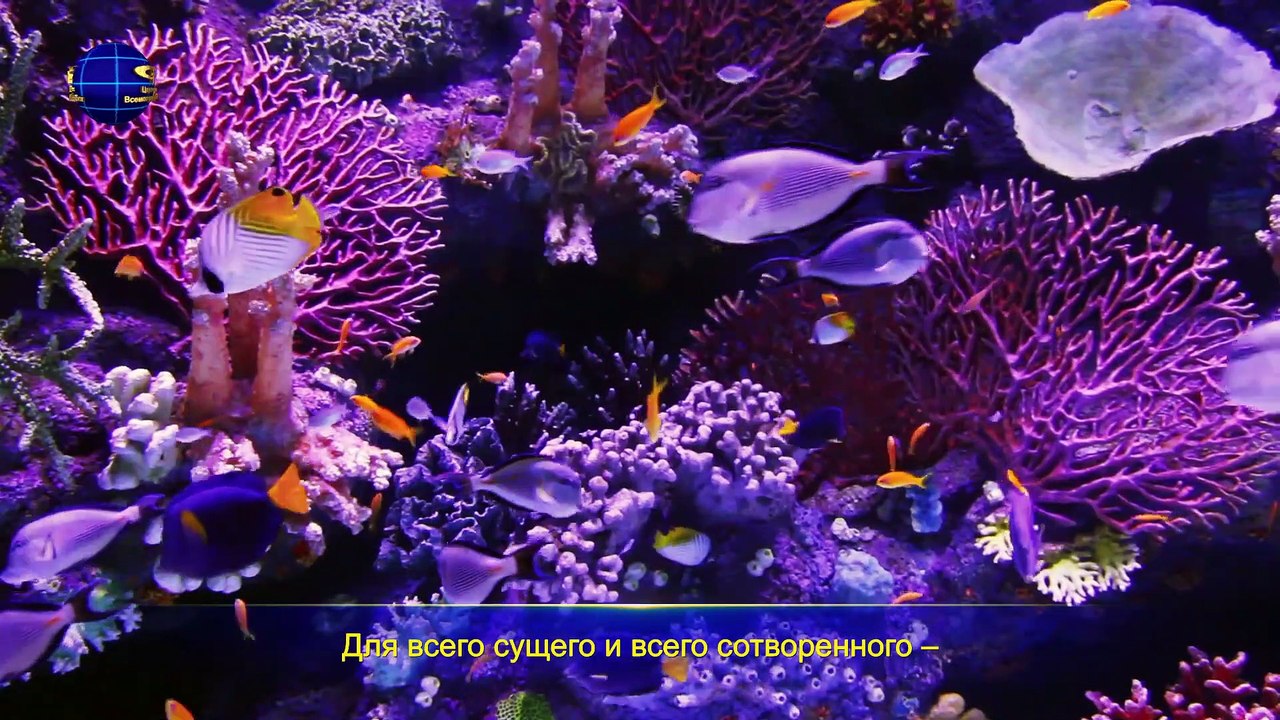 Восточная Молния  | Лучшие Христианские песни «Личность и положение Самого Бога» Наш Бог так велик