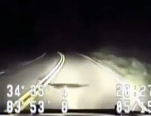 A strange creature seen on the highway