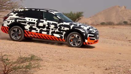 Audi e-tron in Antigua Blue Offroad driving