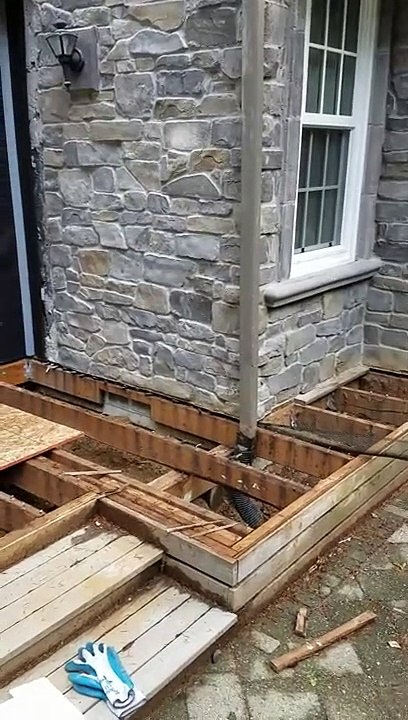 Consult with a commercial mice rats Rodent exterminators during construction