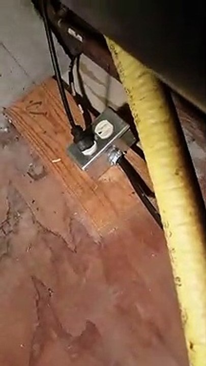 Pest control uncovers signs of rats mice in homes or commercial buildings