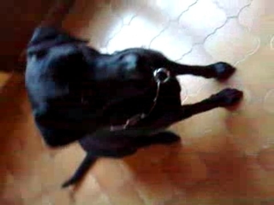 Vidock