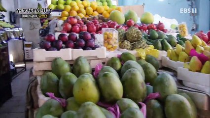 세계테마기행 - 매혹의 광야 요르단과 이스라엘 1부- 사막의 붉은 보석 와디럼_#001