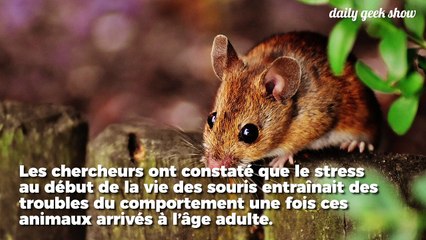 Dépression : les premières années de la vie seraient déterminantes